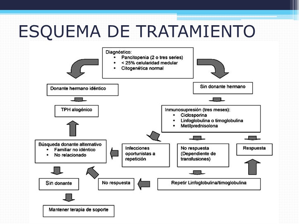 Diagrama de fisiopatología de la talasemia de la hipertensión